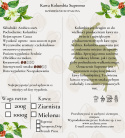 Kawa Ziarnista Zestaw 3x200g - "Czekoladka" - Speciality - 100% Arabica - Świeżo Palona